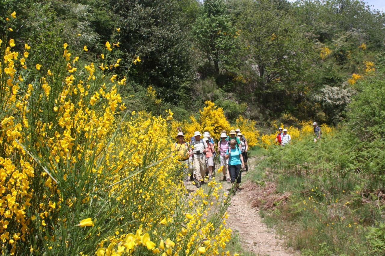 Cap Ardeche Hotel Laurac-en-Vivarais ภายนอก รูปภาพ